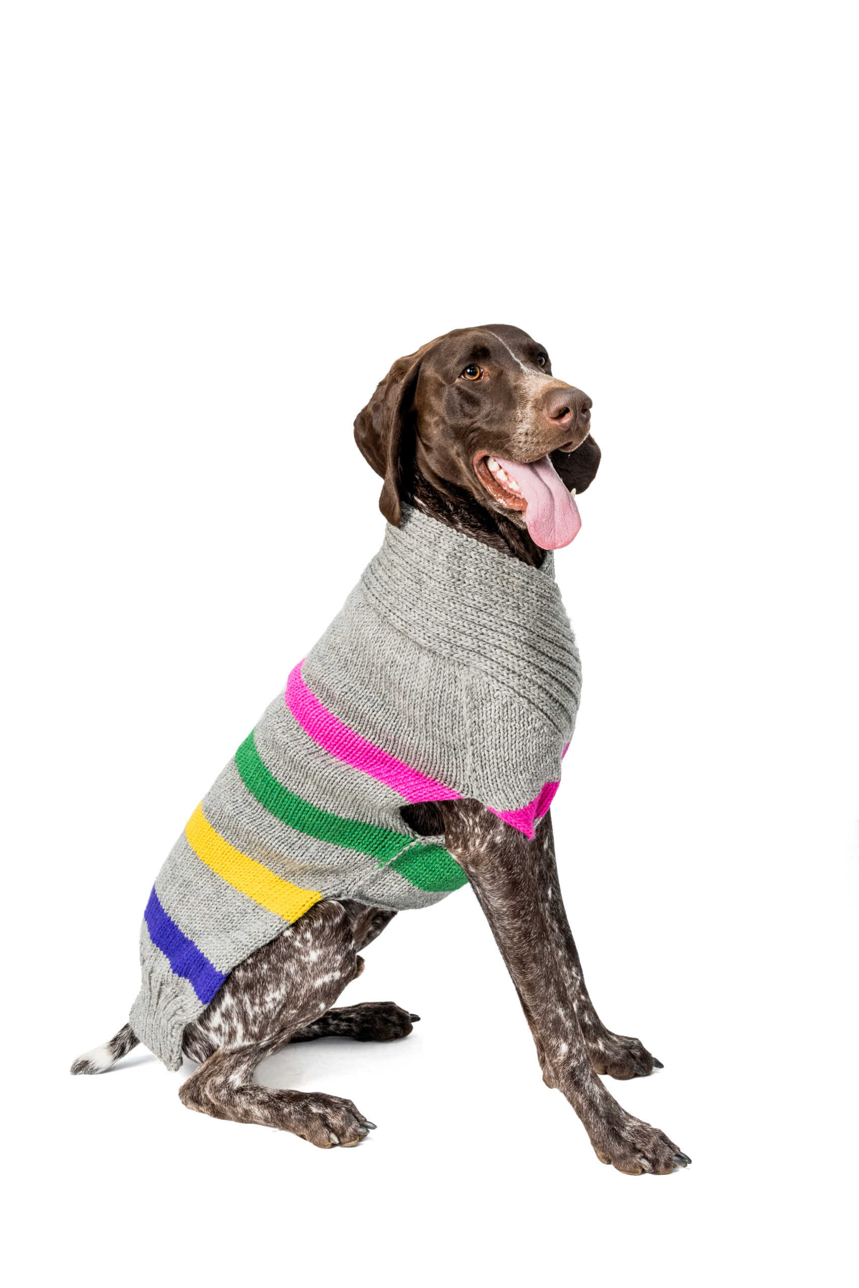 do sweaters help dogs