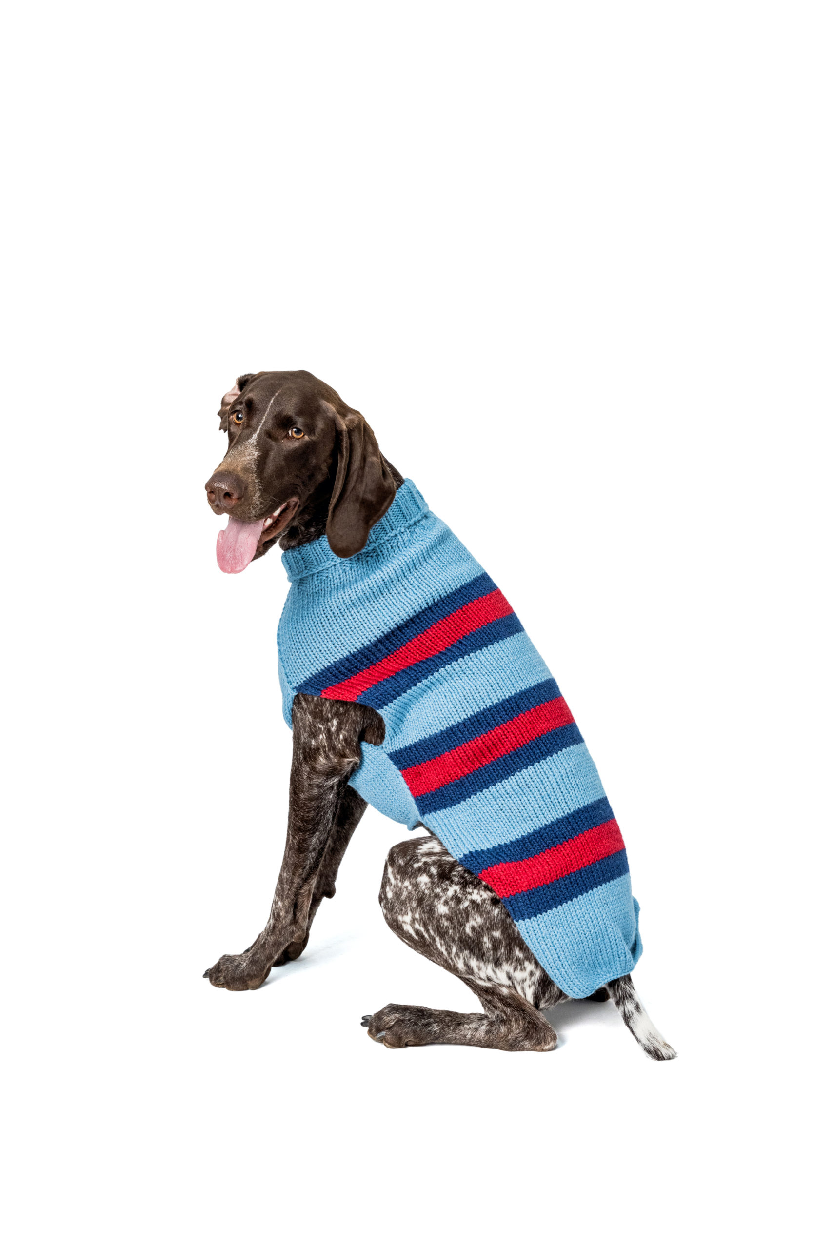 hypoallergenic dog sweater