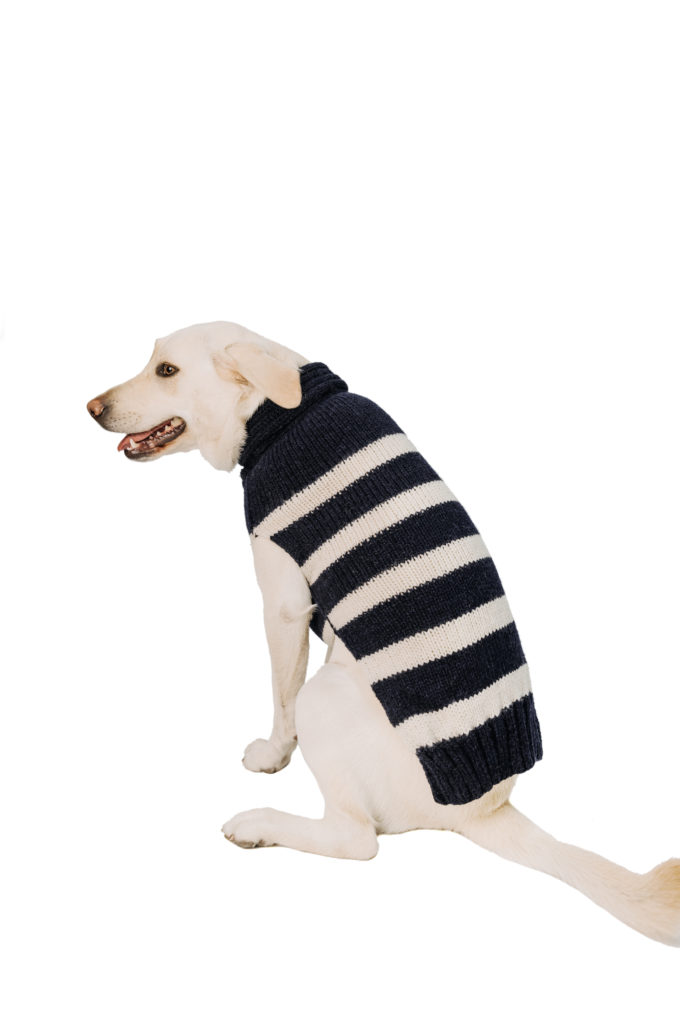 Sale Archives Chilly Dog Sweaters