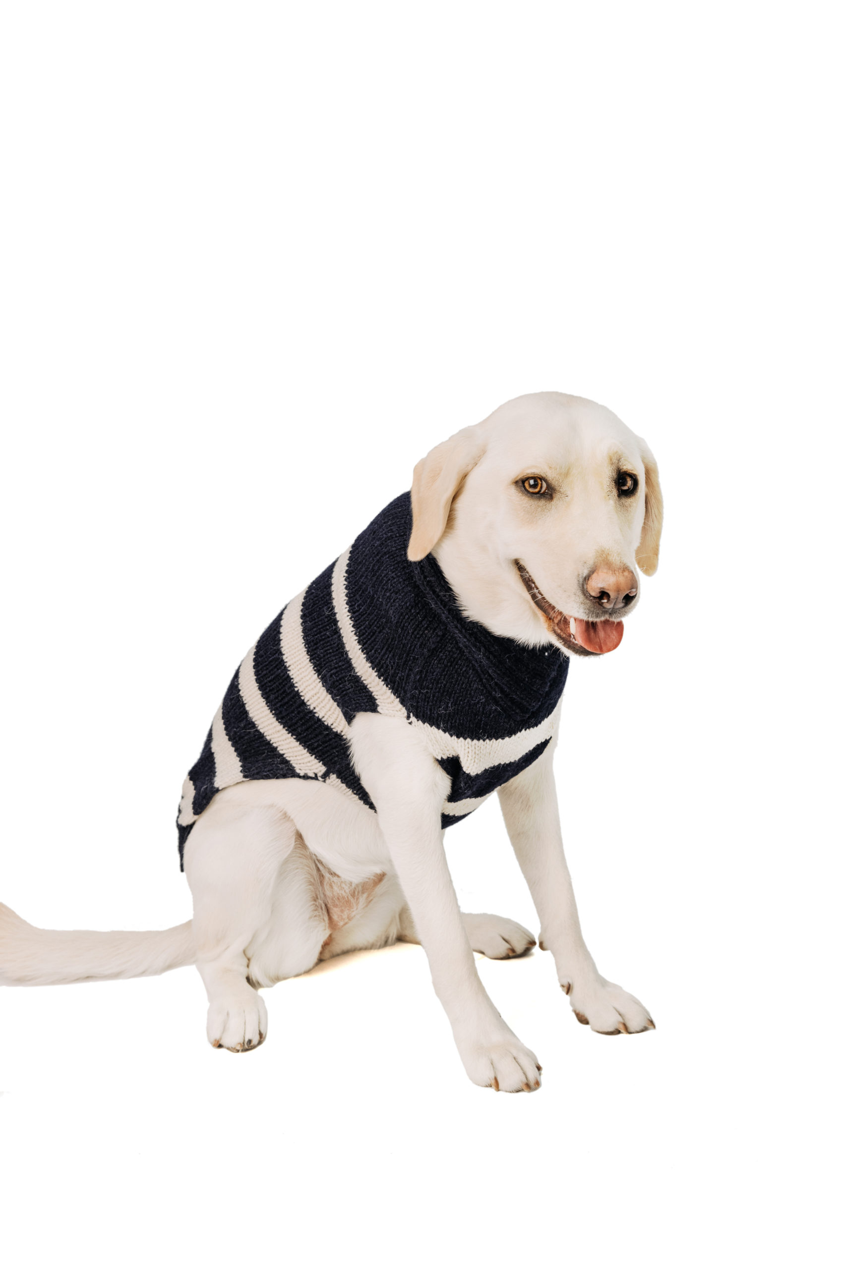 alpaca wool dog sweaters