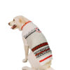 Squirrel Patrol Wool Dog Sweater back