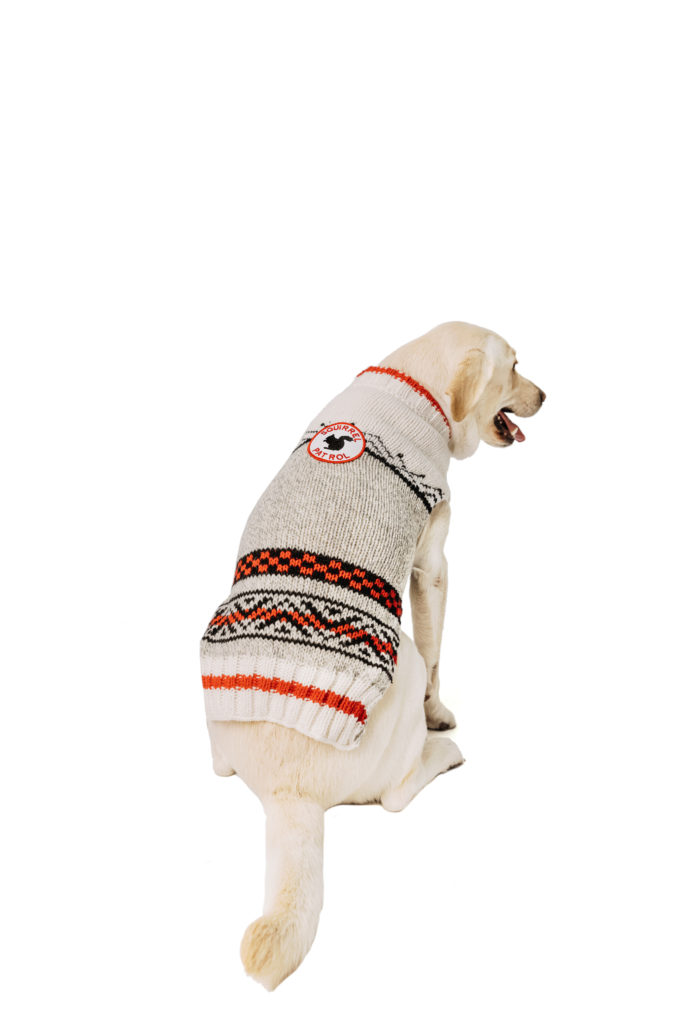 Squirrel Patrol Wool Dog Sweater