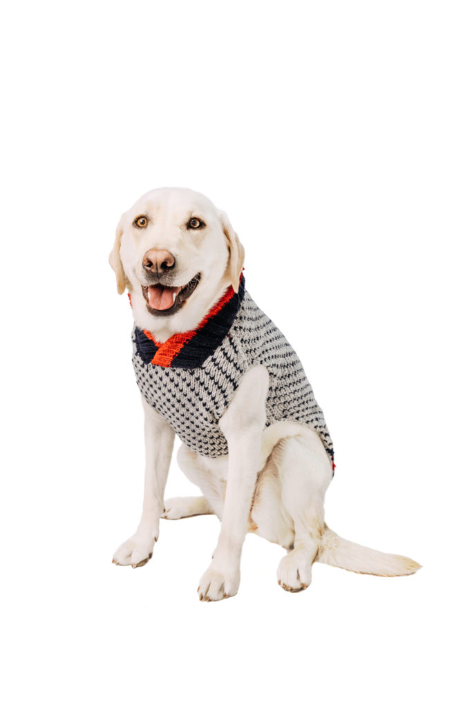 Sale Archives Chilly Dog Sweaters