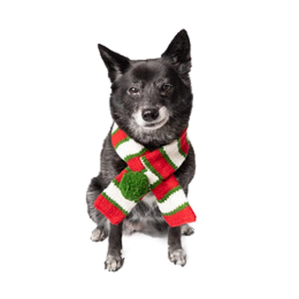 Christmas pet scarf