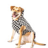 Checkerboard Hoodie dog sweater XL front