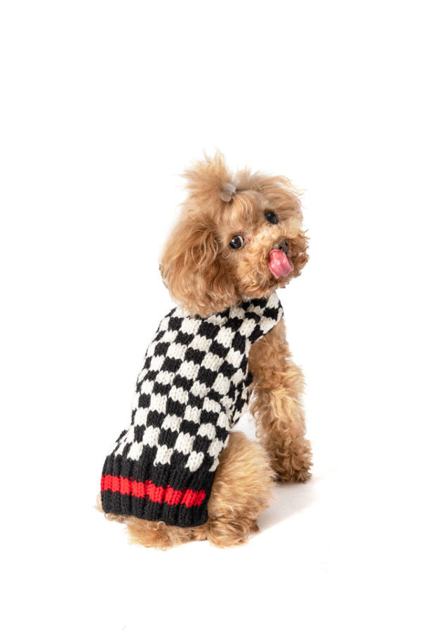 Black & White Checkerboard Hoodie Wool Dog Sweater - small - product back