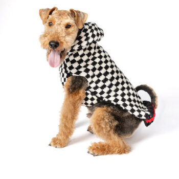 Checkerboard Hoodie dog sweater L full