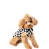 Checkerboard Hoodie dog sweater SM front