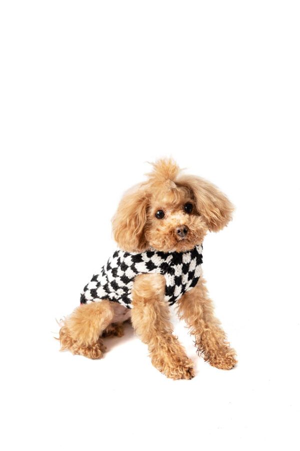 Checkerboard Hoodie dog sweater SM front