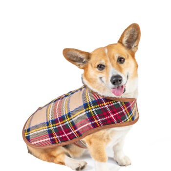 Tan Tartan Plaid Blanket Dog Coat
