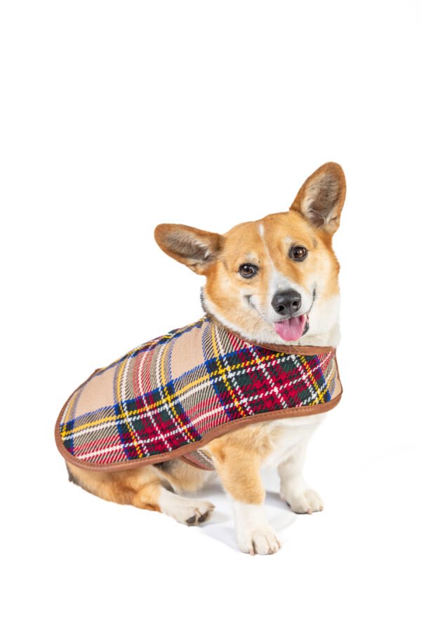 Tan Tartan Plaid Blanket Dog Coat