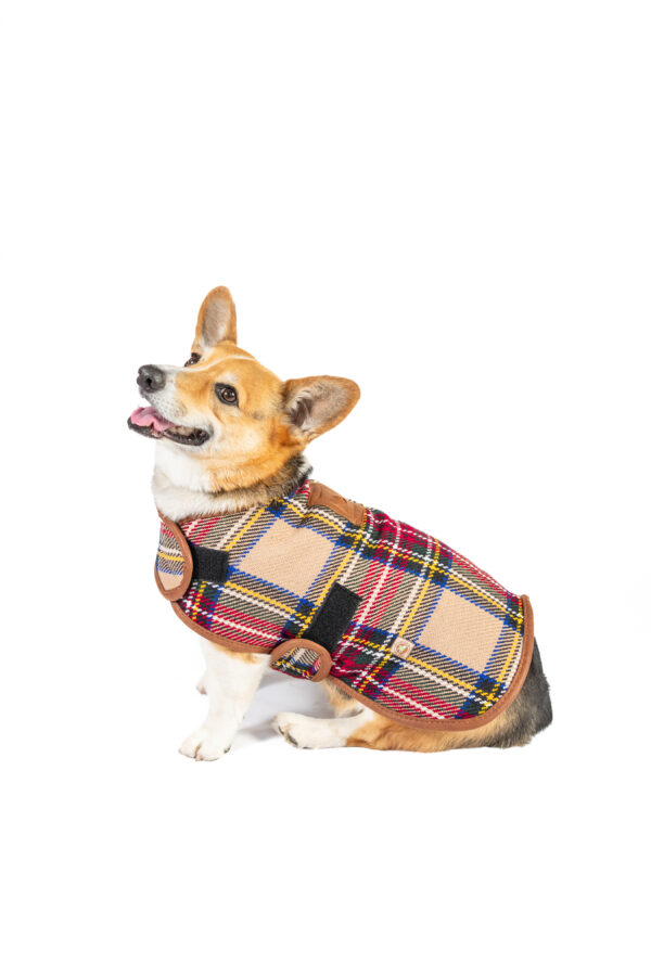 Tan Tartan Plaid Blanket Dog Coat - Image 8