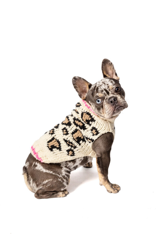 Leopard Print Dog Sweater back