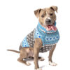 Light Blue Fairisle Wool Dog Sweater XXL front