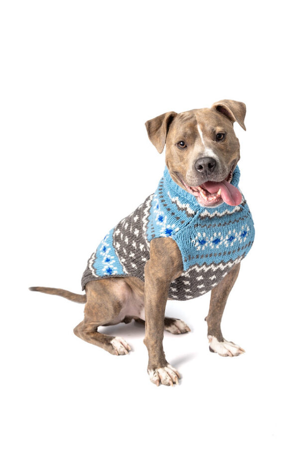 Light Blue Fairisle Wool Dog Sweater XXL front