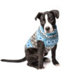 Light Blue Fairisle Wool Dog Sweater SM front
