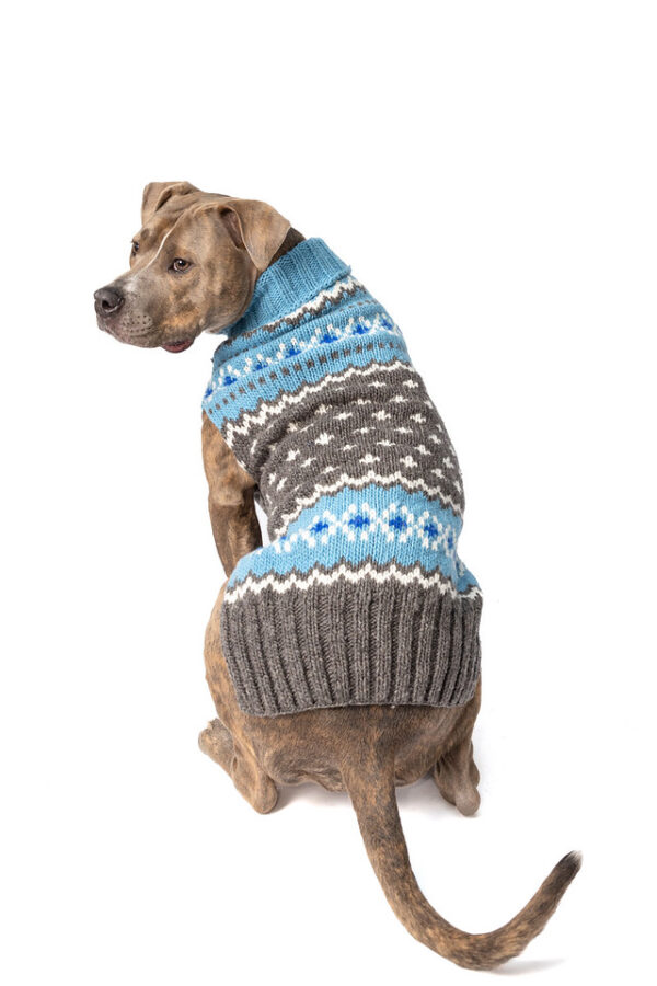 Light Blue Fairisle Wool Dog Sweater XL back
