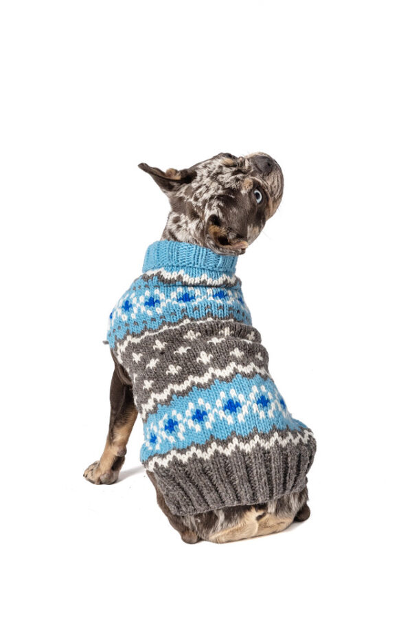 Light Blue Fairisle Wool Dog Sweater M back