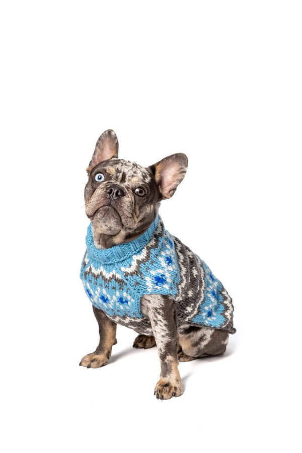 Light Blue Fairisle Wool Dog Sweater M front