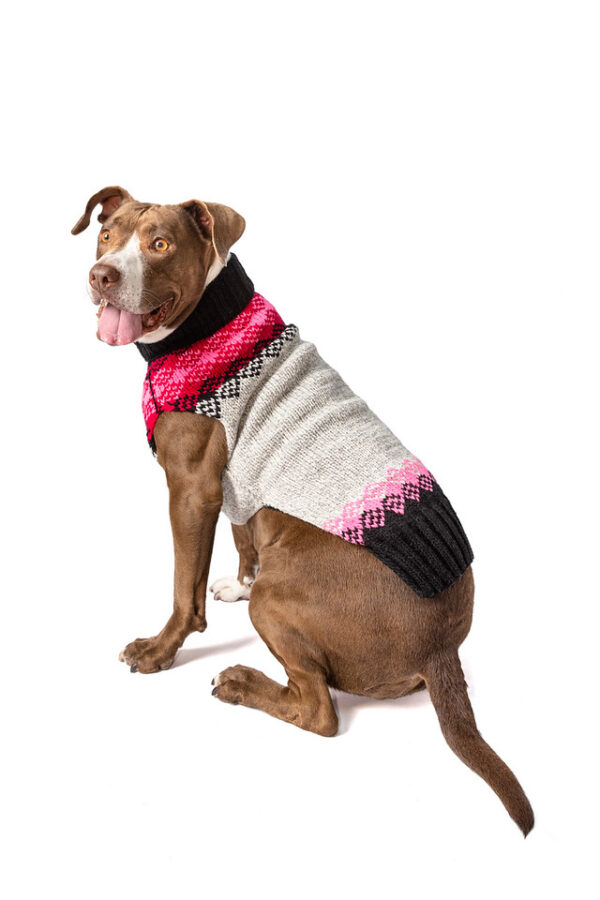 Pink Diamonds Dog Sweater XL back