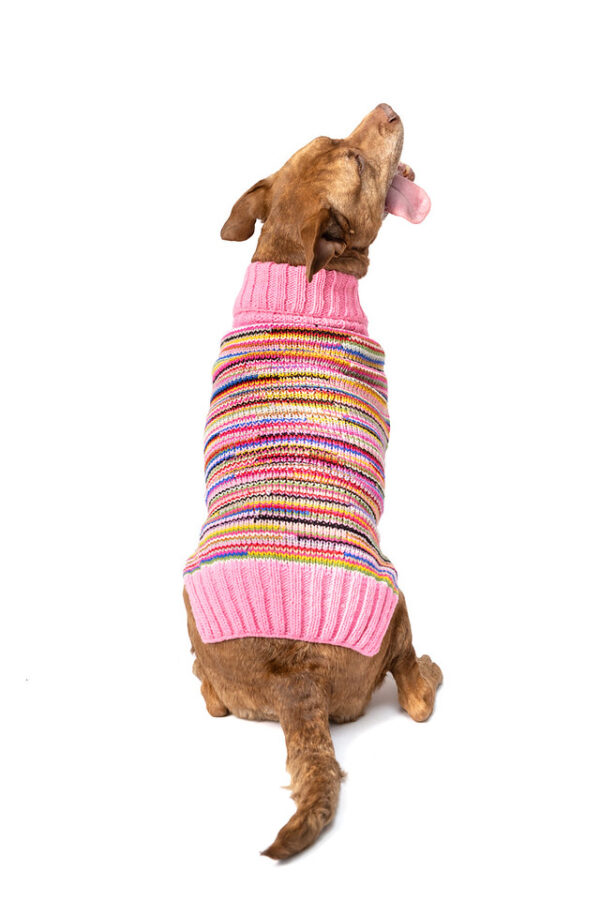 Pink Multi Dog Sweater XXL back