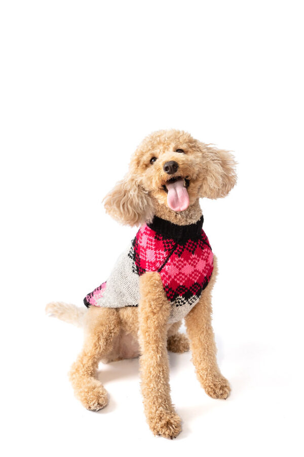 Pink Diamonds Dog Sweater L front