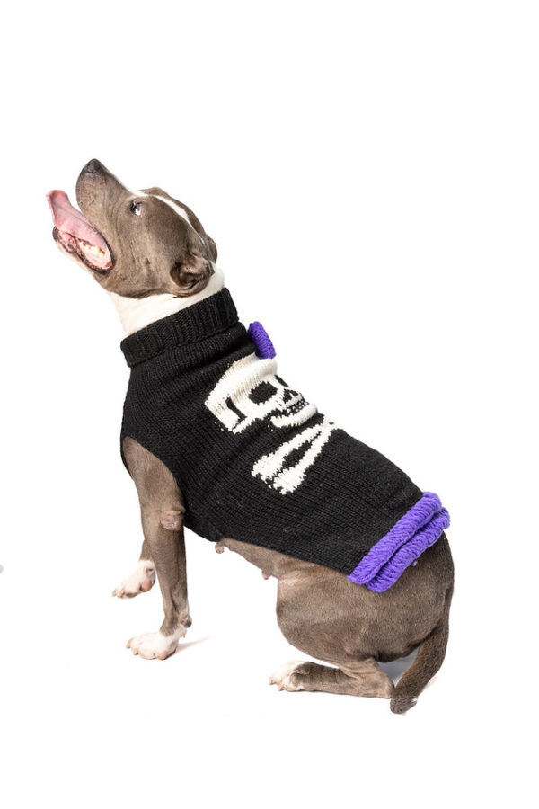 Purple Bow Skull Wool Dog Sweater XXL full