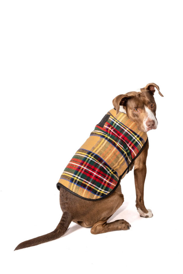 Tan Tartan Plaid Blanket Dog Coat XL back