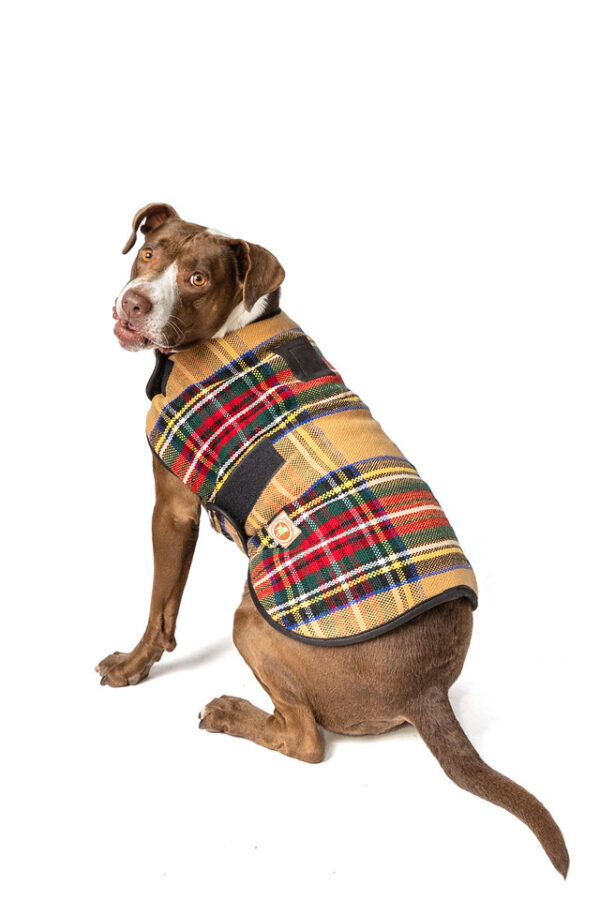 Tan Tartan Plaid Blanket Dog Coat XL back