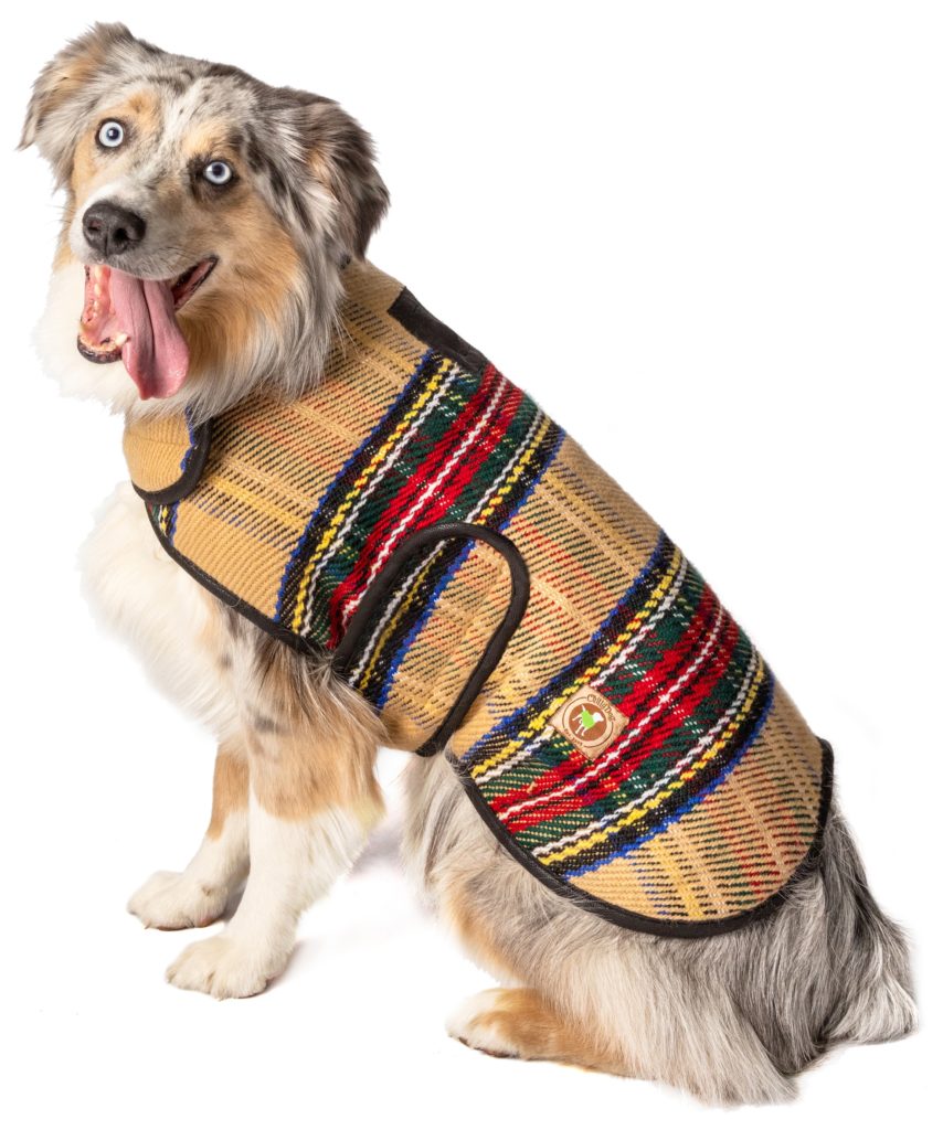 Coats Archives Chilly Dog Sweaters
