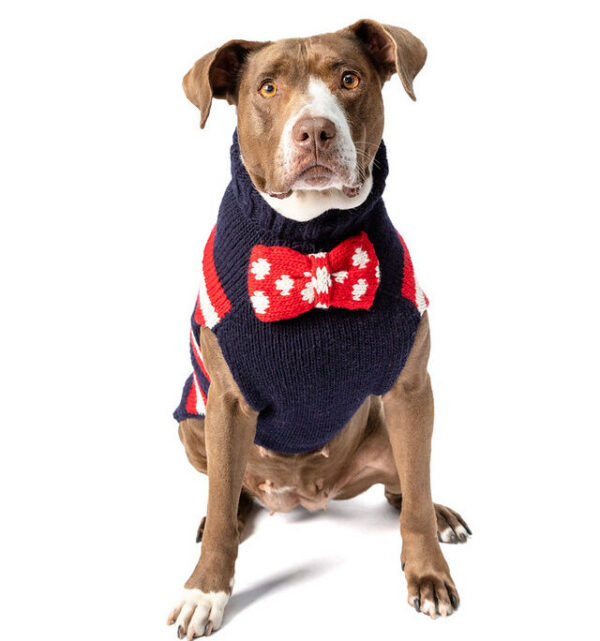 Bow Tie Dog Sweater XXL front