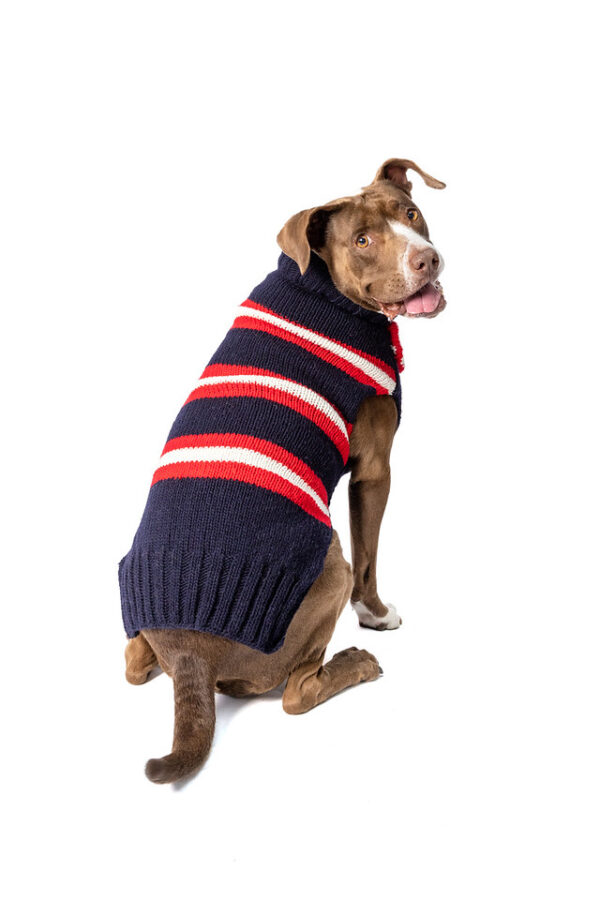 Bow Tie Dog Sweater XL back