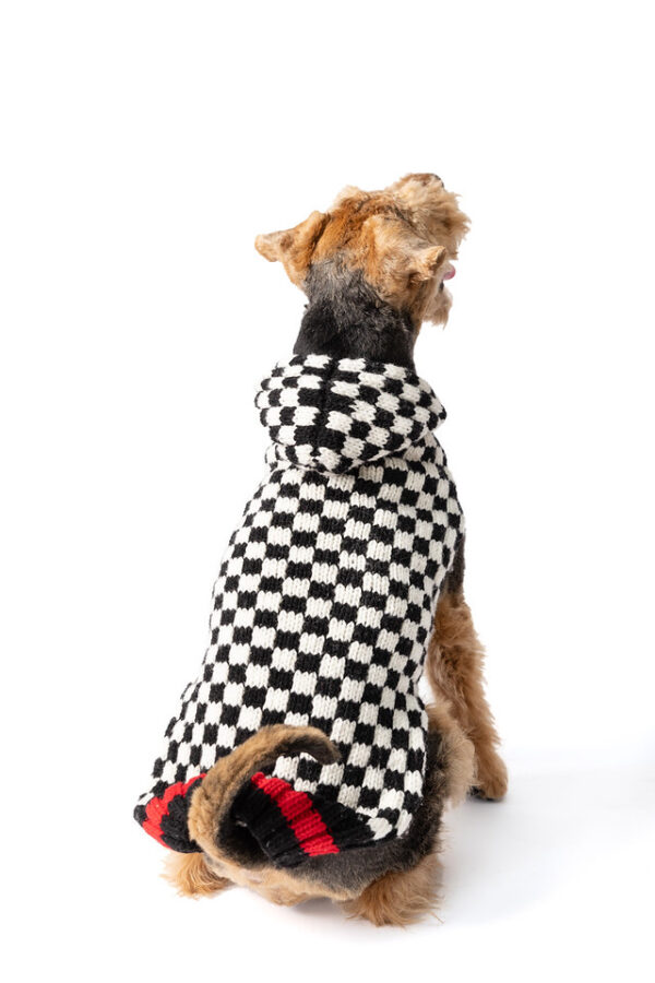 Checkerboard Hoodie dog sweater L back