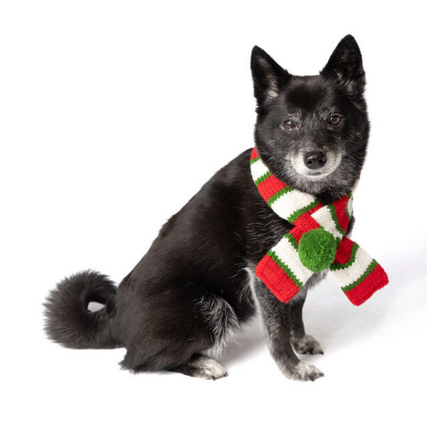 Christmas dog scarf