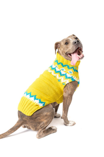 Bunny Patrol Wool Dog Sweater