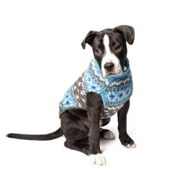 light-blue-fairisle-wool-dog-sweater-puppy-600x600