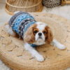 Light Blue Fair Isle Wool Dog Sweater M front