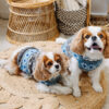Light Blue Fair Isle Wool Dog Sweater M full