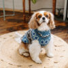 Light Blue Fair Isle Wool Dog Sweater M front