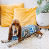 Light Blue Fair Isle Wool Dog Sweater L full