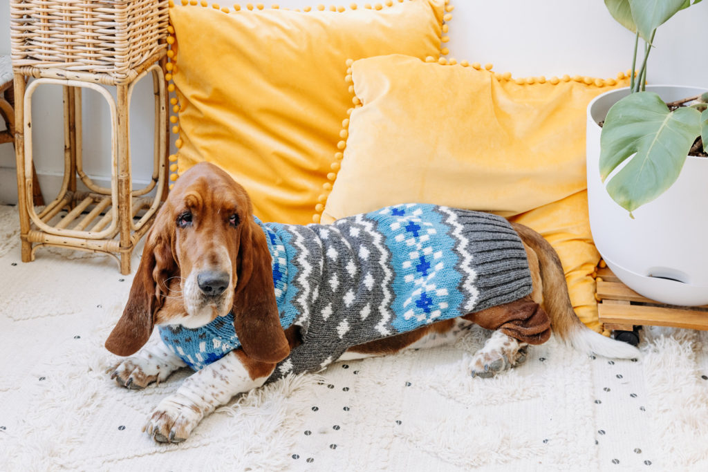 Light Blue Fairisle Wool Dog Sweater L full
