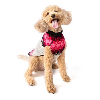 pink-diamonds-dog-sweater-600x600