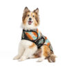 Black Canyon Dog Blanket Coat - large - product front