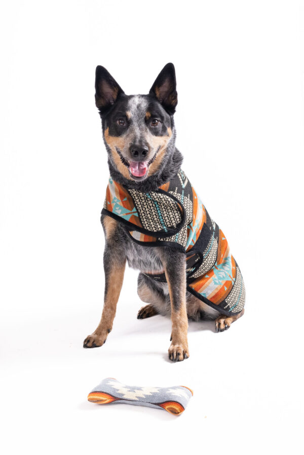 Black Canyon Dog Blanket Coat - extra large - product front