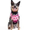 Artic Pink Dog Sweater L front