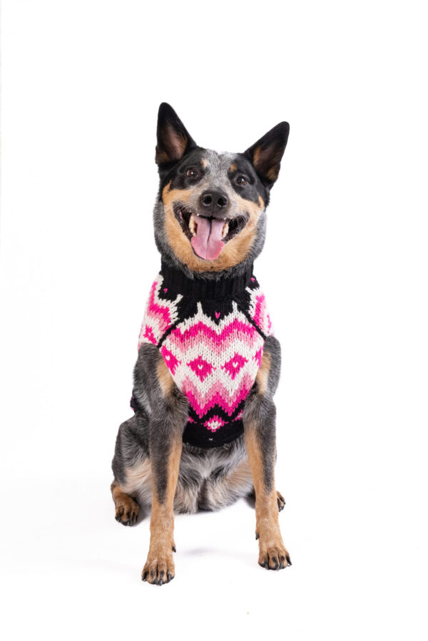 Artic Pink Dog Sweater L front