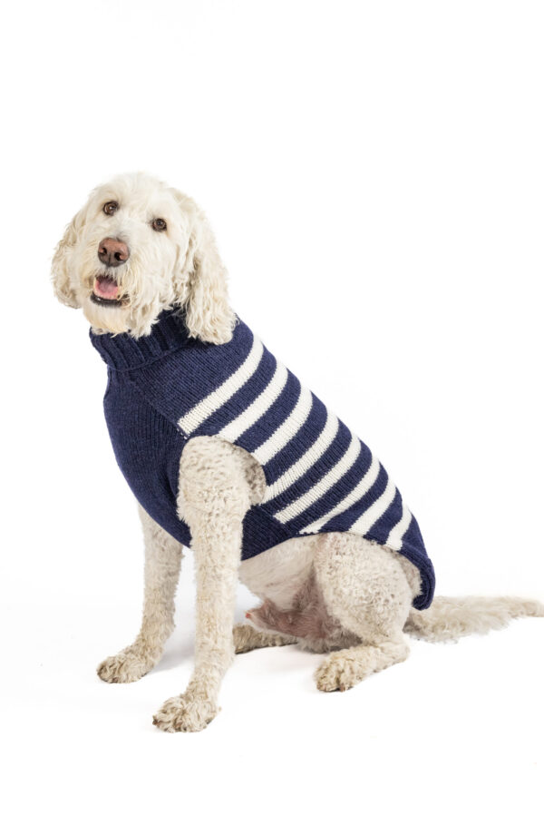 Flynn Alpaca Stripe Dog Sweater XXL front
