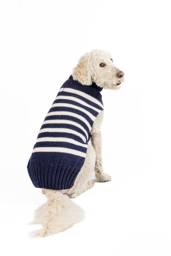 Flynn Alpaca Stripe Dog Sweater XXL back