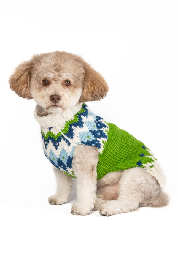 Spring Ski Bum Dog Sweater M front