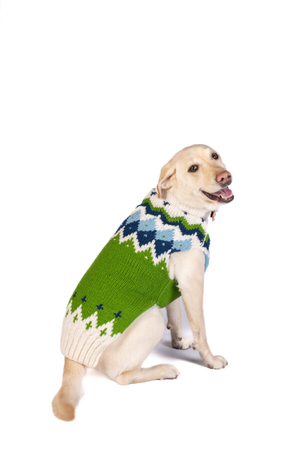 Spring Ski Bum Dog Sweater XXL back